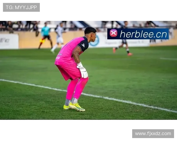 墨西哥对阵瑞典精彩赛事现场直播全程回顾与分析